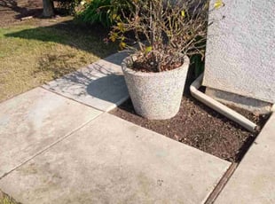 Kevin S.'s lawn maintenance service result