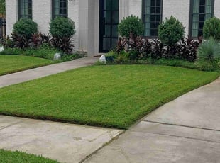 Cassy B.'s turf maintenance service result