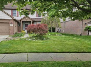 Carmen A.'s lawn care service result