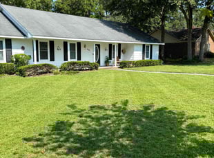 Damon T.'s lawn maintenance service result