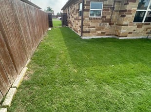 Diane T.'s grass cutting service result