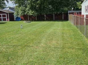 Scarlett G.'s landscaping service result