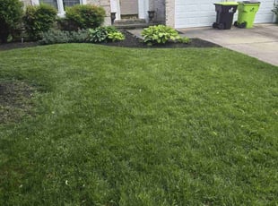 James G.'s grass cutting service result