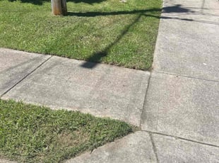Chad G.'s turf care service result