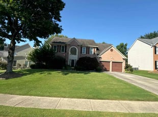 Soonchun M.'s lawn service service result
