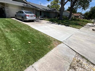 Cody R.'s turf care service result
