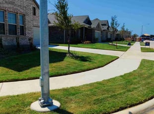 Bhawna M.'s lawn service service result