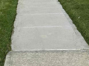 Carrie W.'s Long Grass Cleanup service result