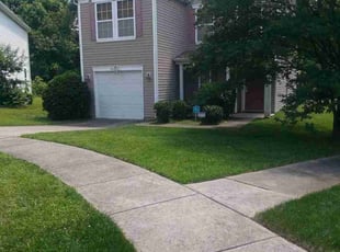 Fritz S.'s turf care service result
