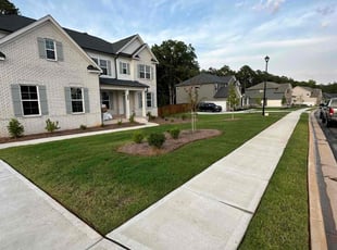 Anthony M.'s grass cutting service result