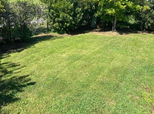 Verba W.'s lawn maintenance service result