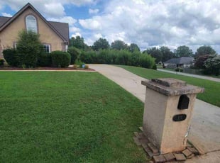 Michael H.'s lawn maintenance service result