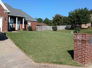 Jessika C.'s grass maintenance service result