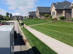 Sheriese W.'s grass cutting service result