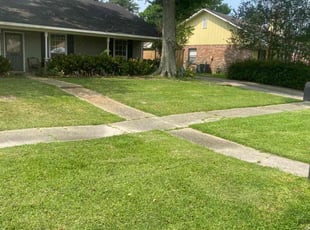 Khalid B.'s grass maintenance service result