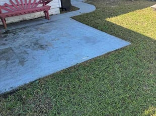 Michael C.'s lawn maintenance service result