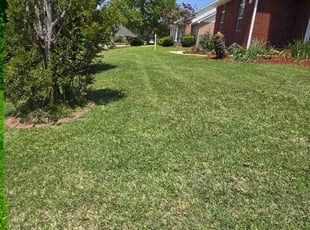 James M.'s lawn care service result