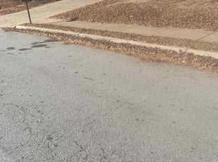 Alexandra P.'s grass maintenance service result