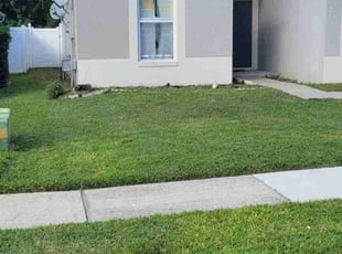 Kevin L.'s lawn care service result