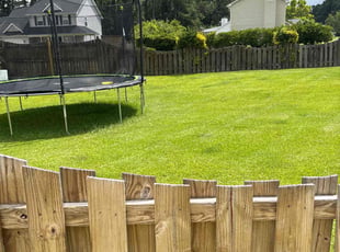 Michael H.'s grass maintenance service result