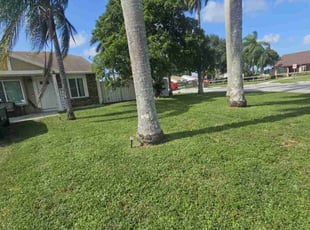 Jhims K.'s lawn care service result