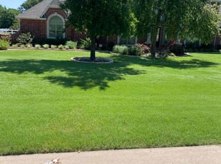 Elizabeth H.'s turf maintenance service result