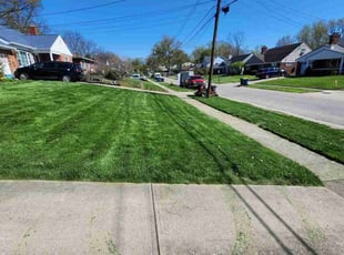 Brook S.'s lawn care services service result