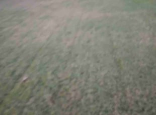 Kathleen G.'s Bush Trimming service result