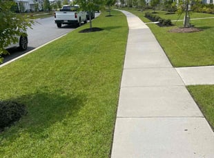William C.'s lawn service service result