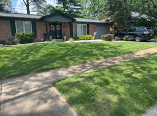 Billie T.'s turf care service result