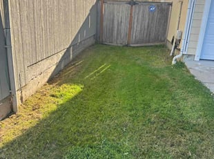 Dan R.'s grass cutting service result