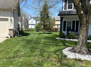 Sonja S.'s grass maintenance service result