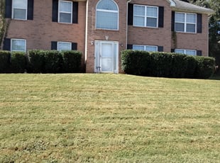 Kristin C.'s Bush Trimming service result