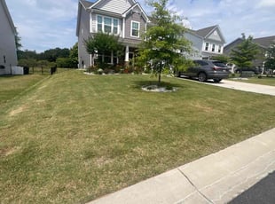 Timothy D.'s turf care service result