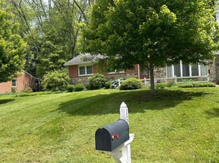 Matthew G.'s grass cutting service result