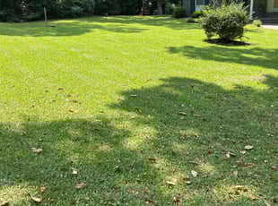 Sarah M.'s lawn care services service result