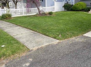 Kay B.'s lawn care service result