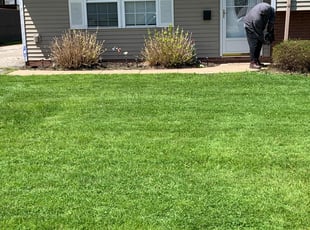 Anju T.'s Bush Trimming service result