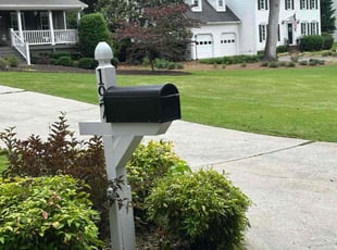 Michelda F.'s turf care service result