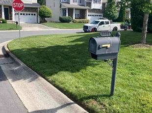 Hannah S.'s turf maintenance service result