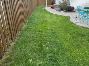 Joseph C.'s turf maintenance service result