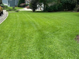 Jessica W.'s turf maintenance service result