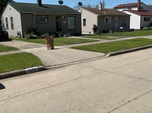 Jose C.'s grass cutting service result