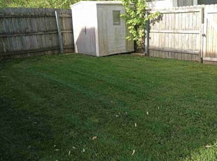 David A.'s lawn care services service result