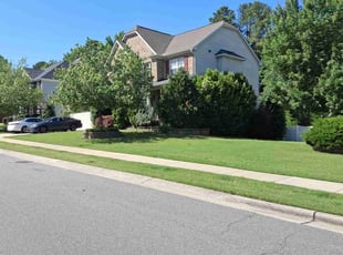 Brian E.'s lawn care services service result