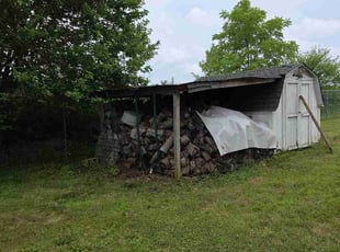 Andrea R.'s Cleanup service result