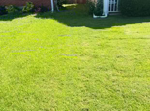 Loretta C.'s grass maintenance service result