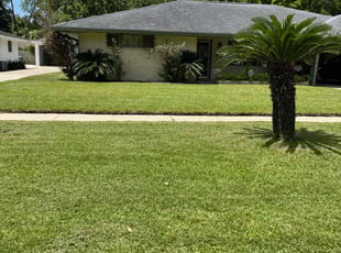 Molly R.'s lawn care services service result