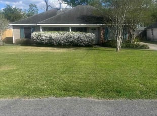 Brad B.'s turf maintenance service result