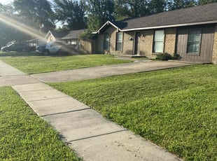 Linda D.'s turf care service result